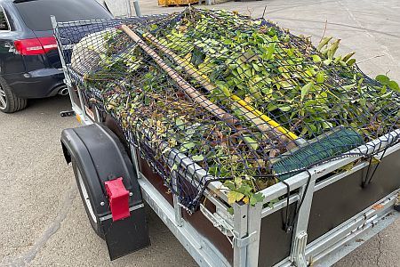 Trailer with green waste 