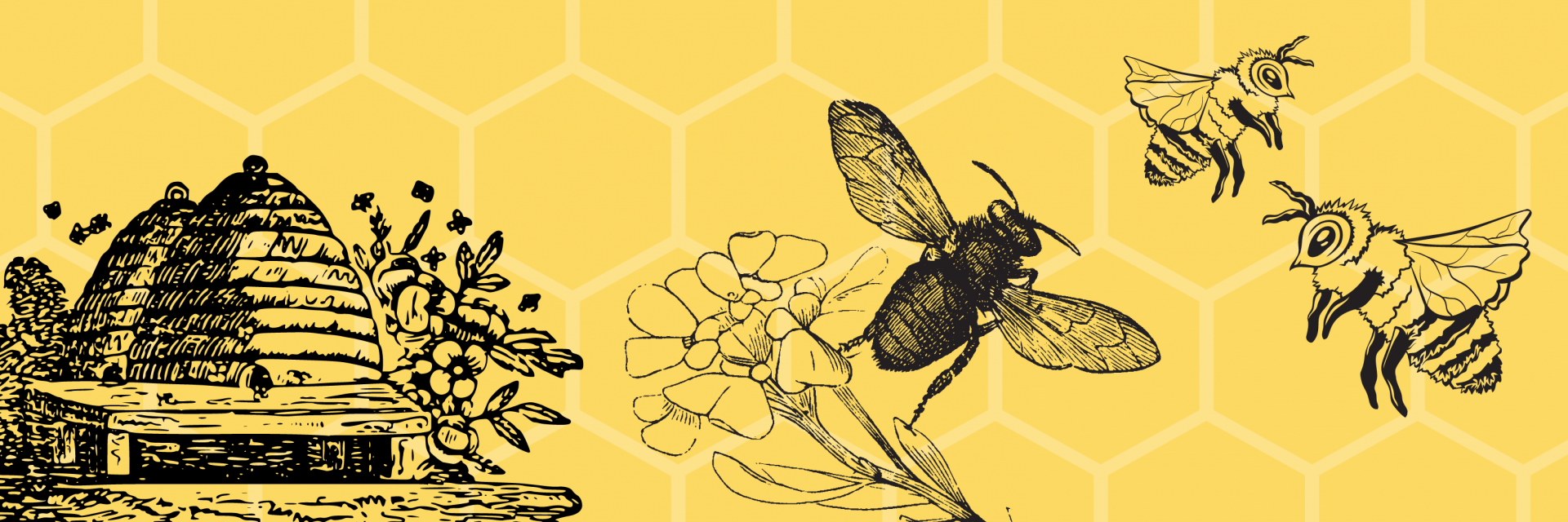 PAE Libraries Pollinators Banner