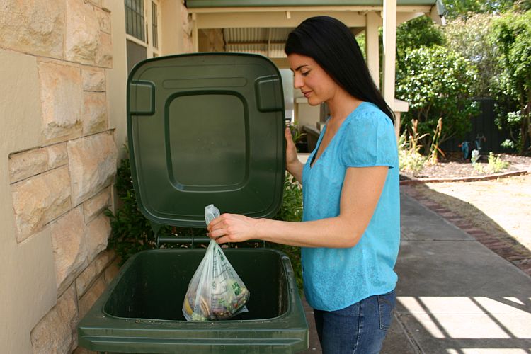 Woman placing green bag in green bin