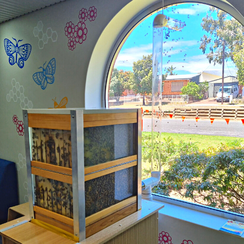 PAE Libraries Honey Bee Hive