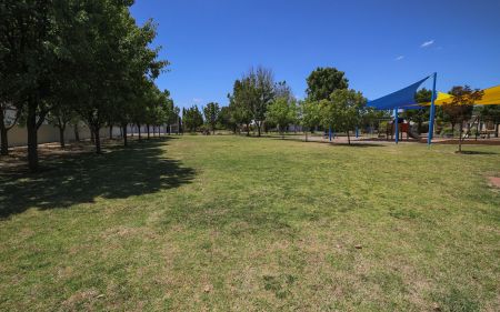 Butler Grove