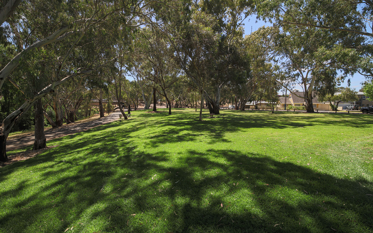 Linear Park