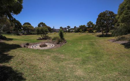 Lion Peter Wesbroom