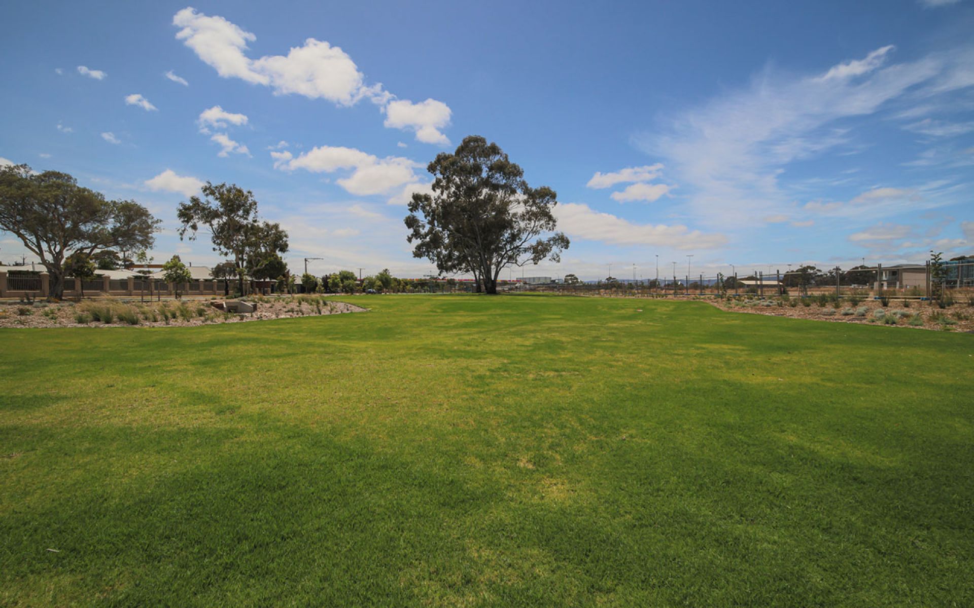 Cardigan St Reserve