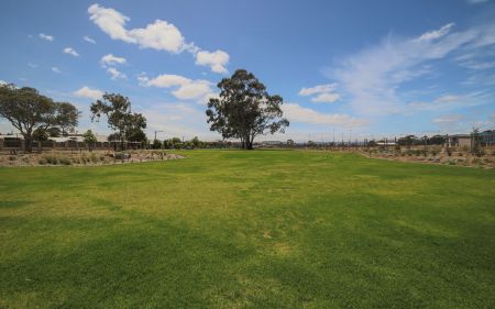 Cardigan St Reserve
