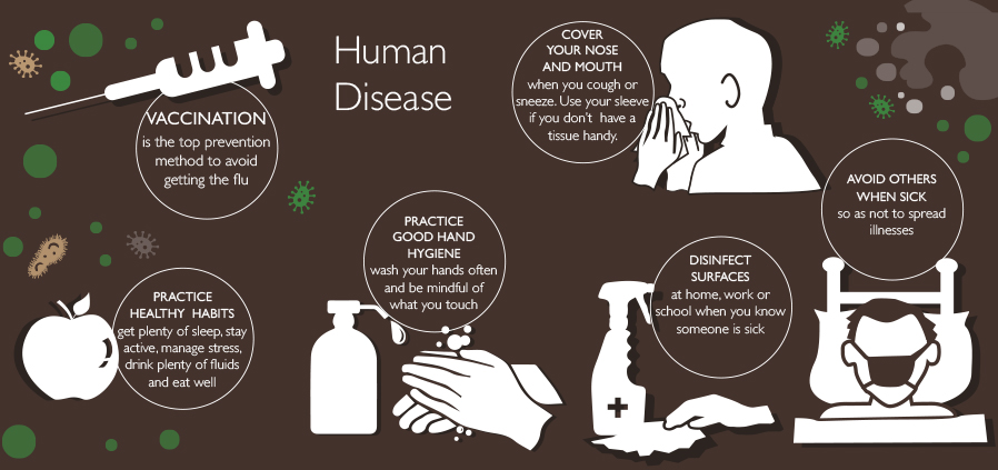 Human Disease Prevention Steps