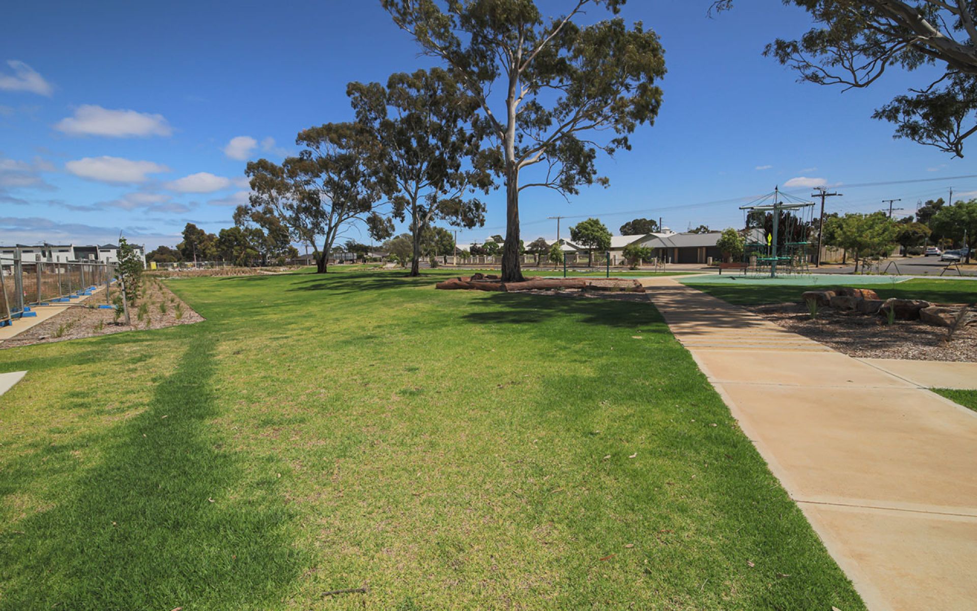 Cardigan St Reserve
