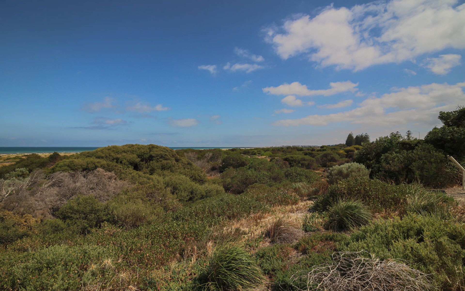 Taperoo Foreshore