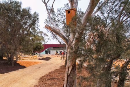 Bird box at cultural centre site