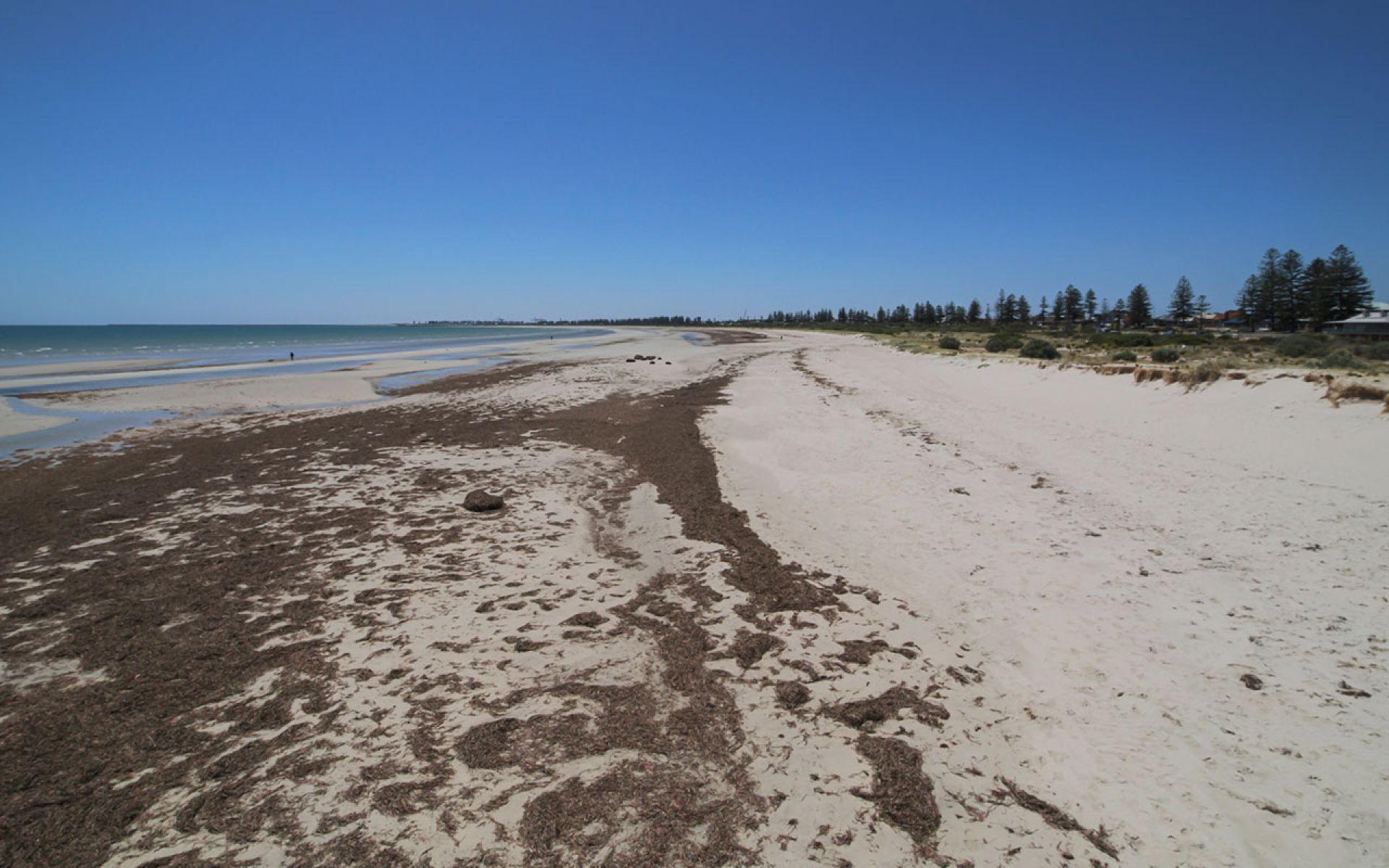 Largs Bay Foreshore