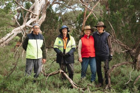 Group of people wearing high vis and warm vests, and hats outdoors in a lush green environment