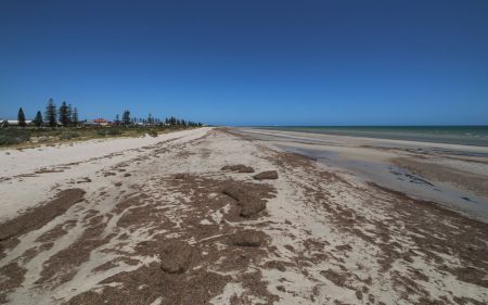 Largs Bay Foreshore