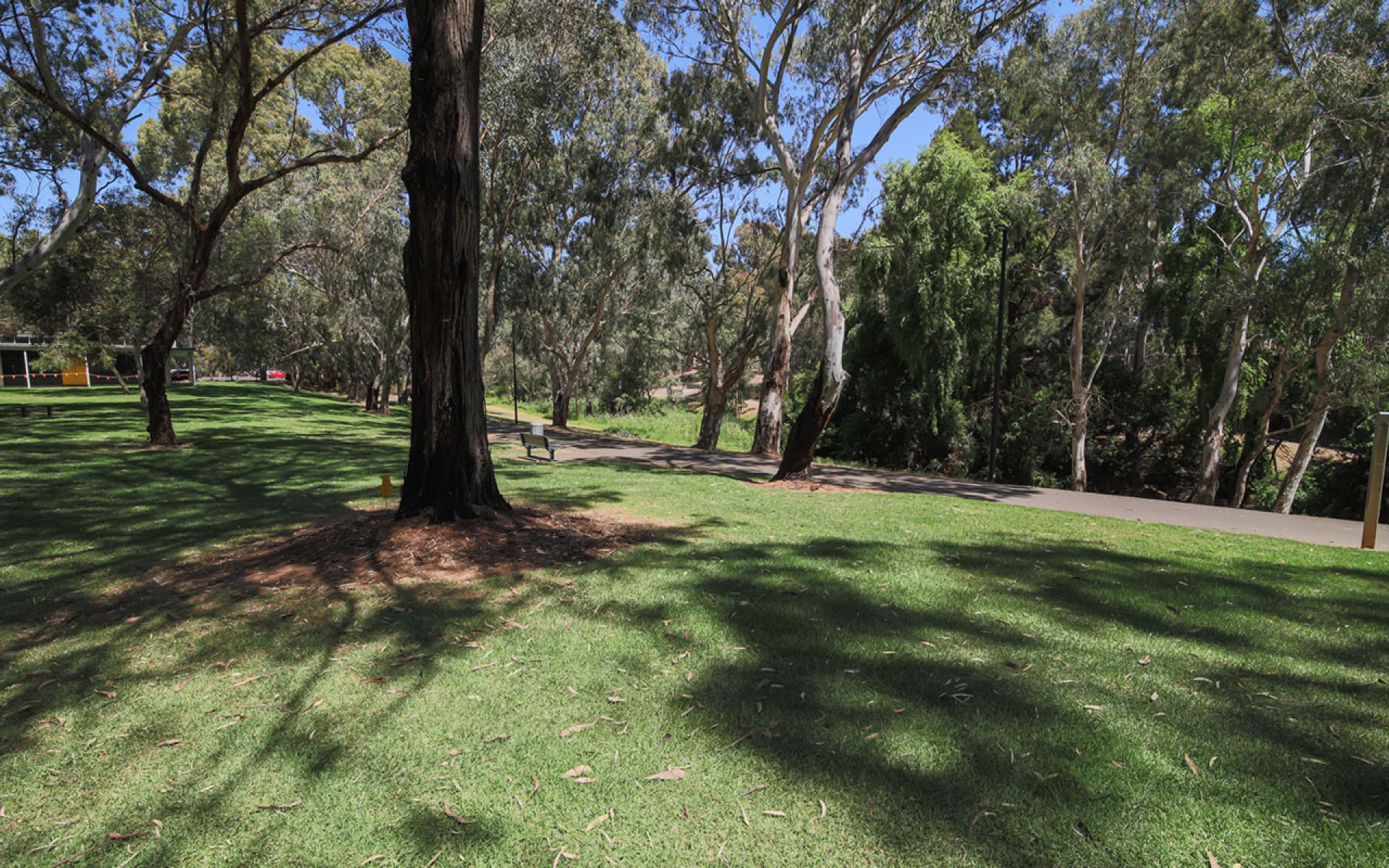 Linear Park