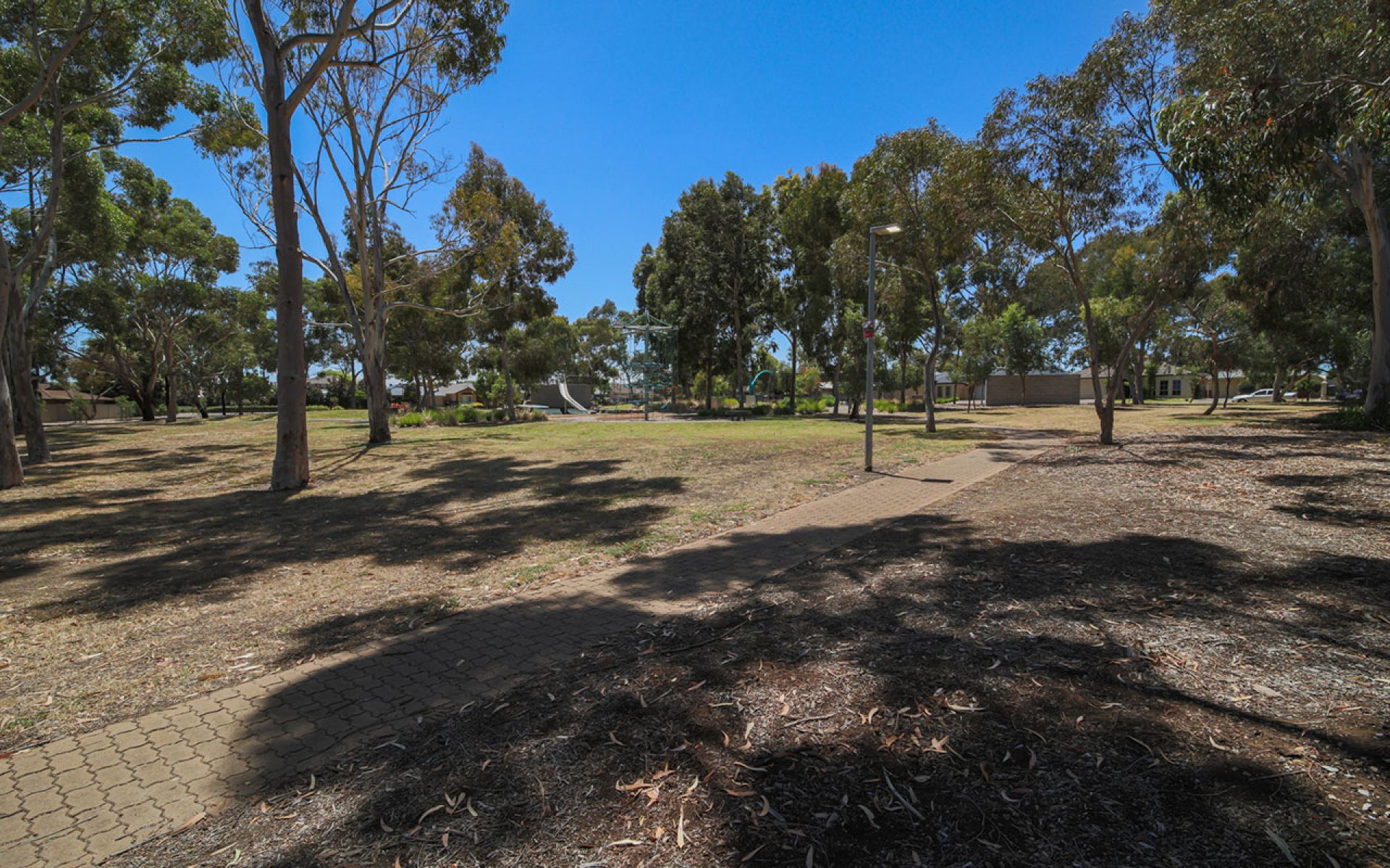 Wandana