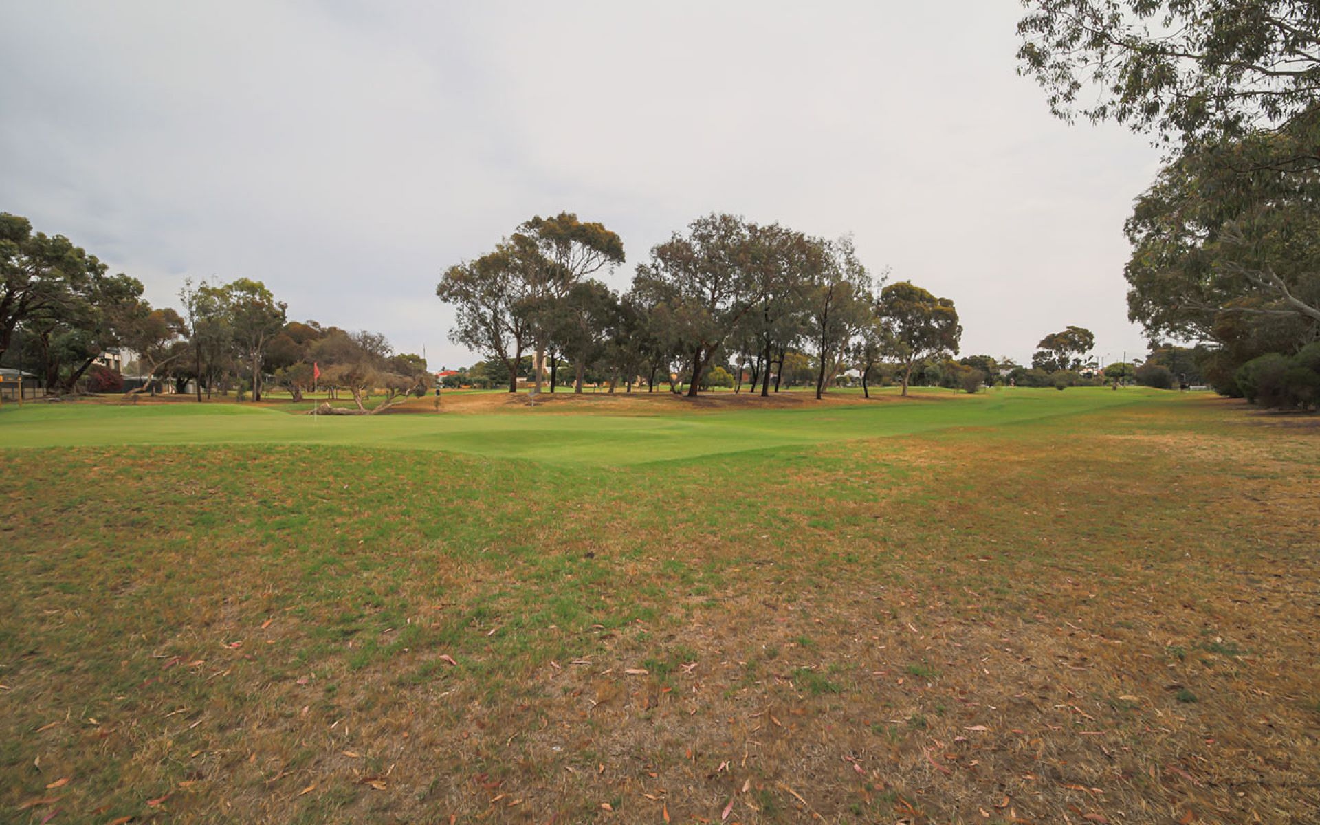 Glanville Golf
