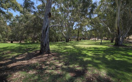 Linear Park