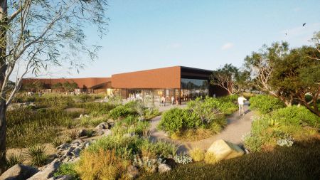 Artist render of Yitpi Yartapuultiku native garden