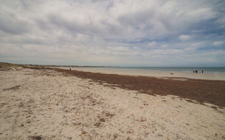 North Haven