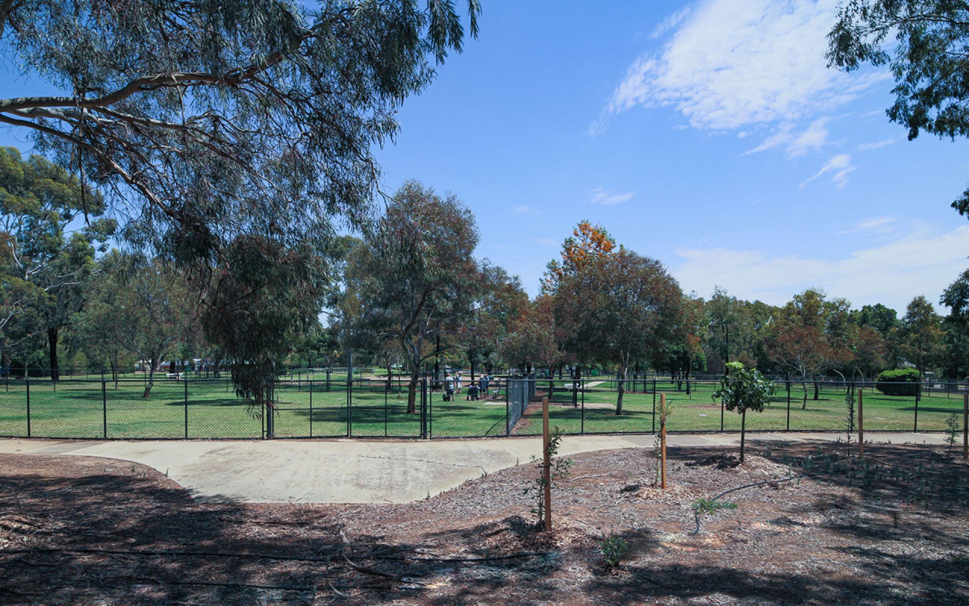 LJ Lewis Dog Park