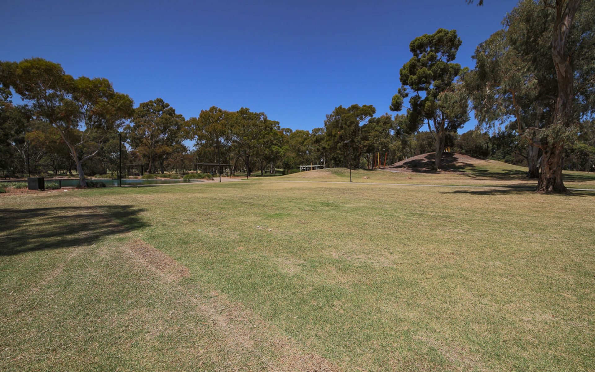 Regency Park Reserve
