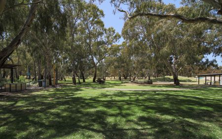 Regency Park Reserve