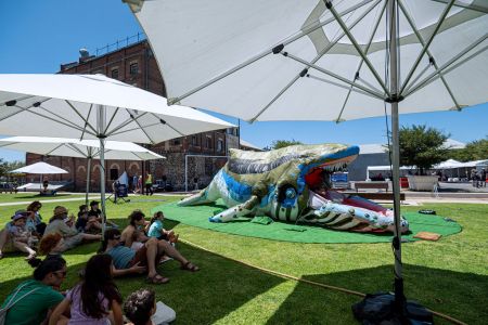 Patrons on the grass at event