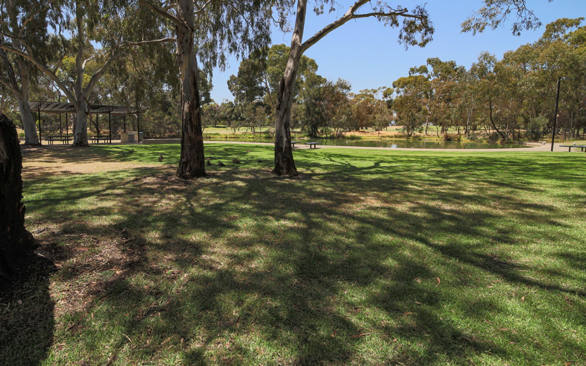 Regency Park Reserve